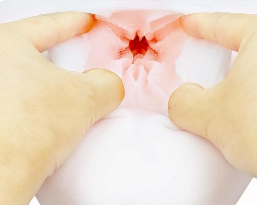 床オナ式PAD20の内部構造