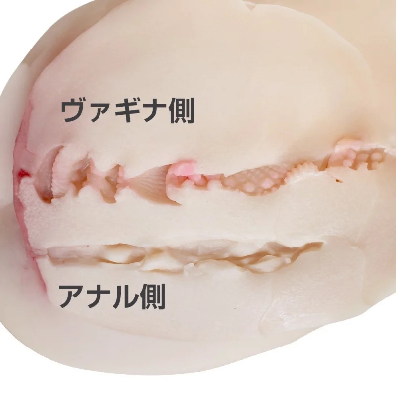 ボンキュッボンドール11㎏のオナホ内部構造写真