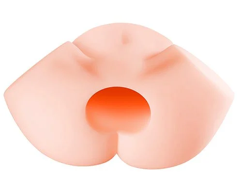 秘密の桃尻 調教日誌の本体画像