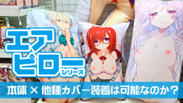 タマトイズのエアピローは違う種類のピローカバーも装着できるのか？エアドール（抱き枕）を徹底解説！