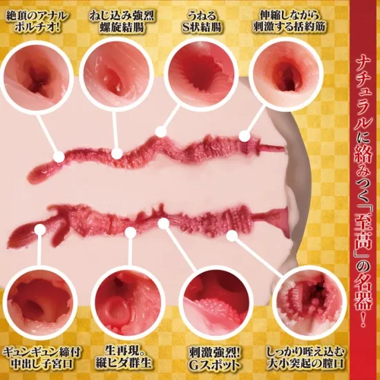 極生尻 深田えいみの内部構造画像