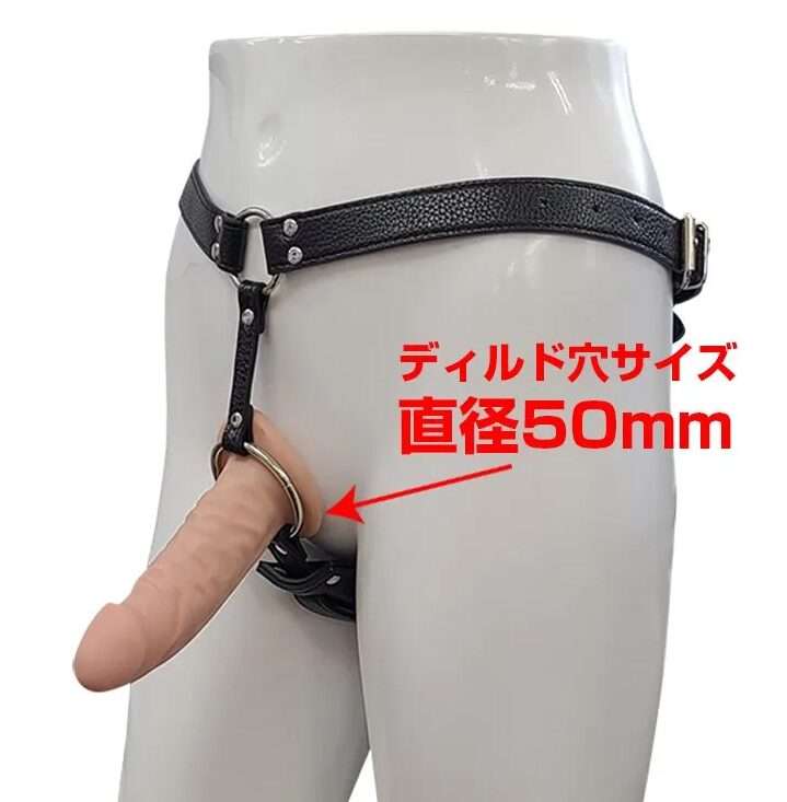 好きなディルドを選びたいならこれ！