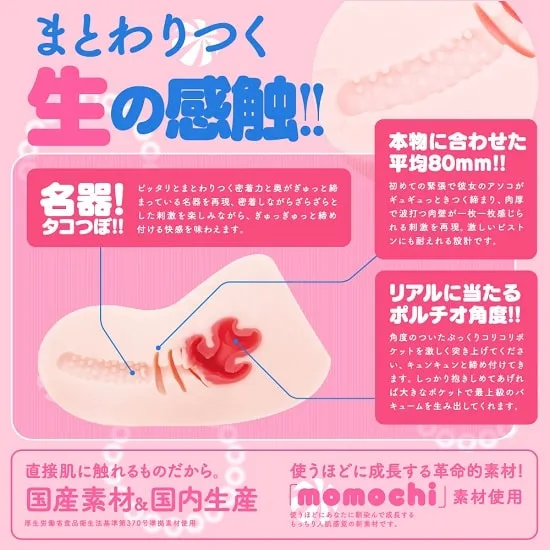 HON-MONO TACO（ホンモノ タコ）内部画像