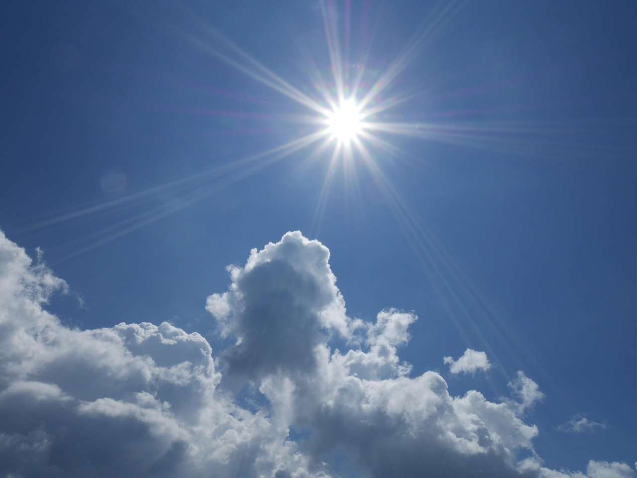 太陽の画像