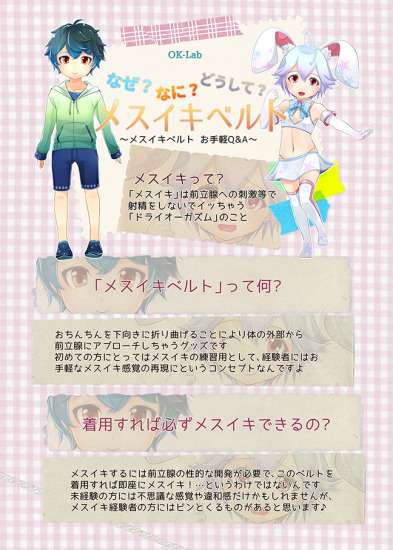 メスイキベルト説明画像