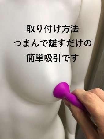【信長トイズオリジナル】ポンプップルの商品説明