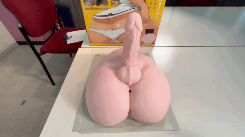 『ハイトクカンDX』のぺ二クリ骨格説明左右版