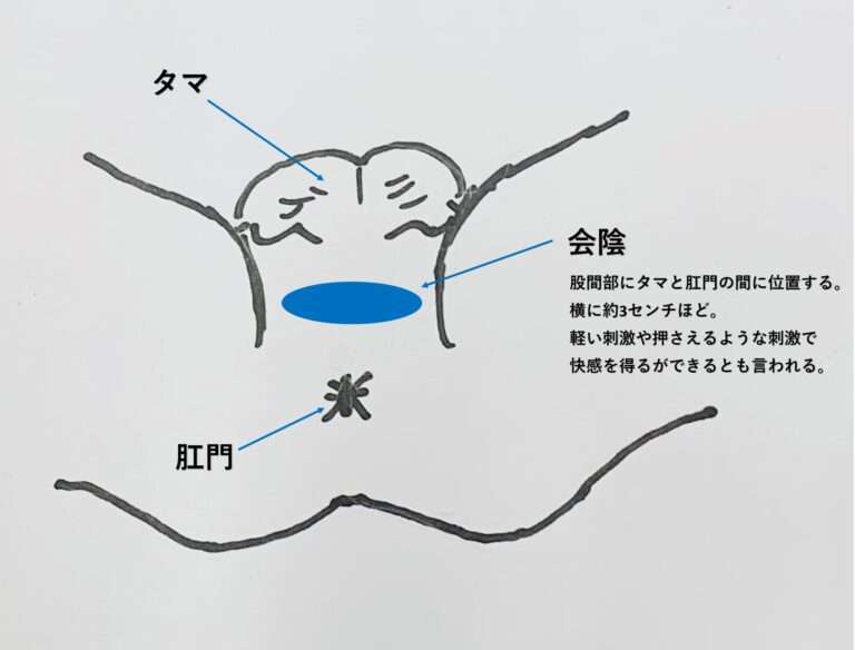 蟻の門渡りイラスト