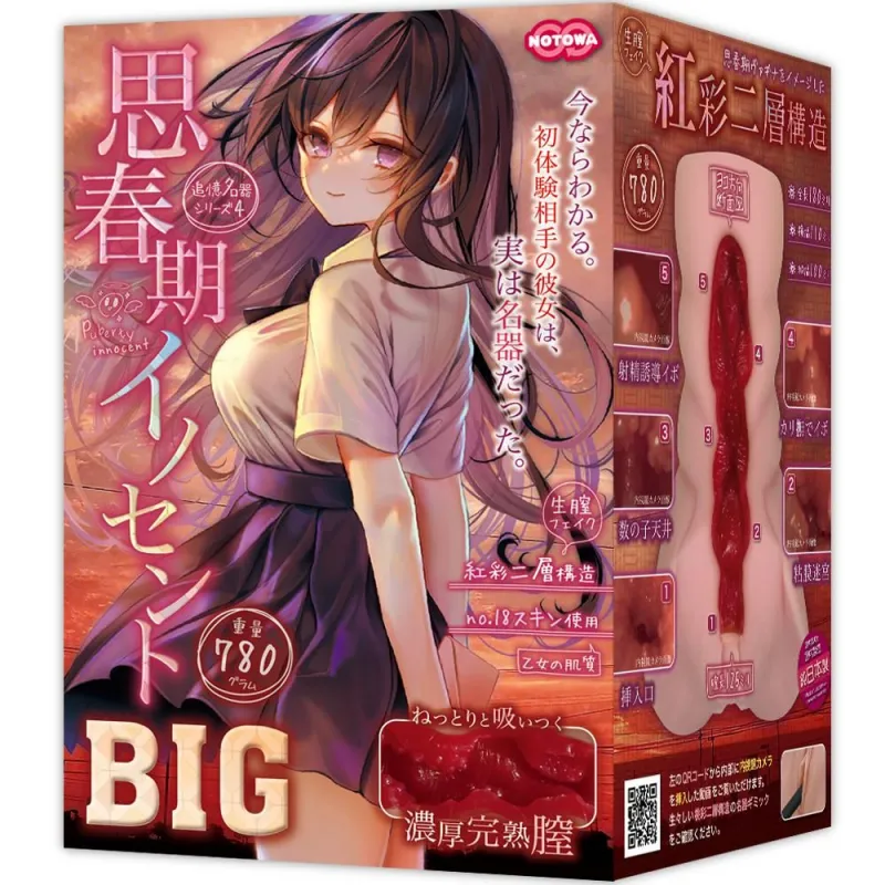 思春期イノセントBIG商品画像