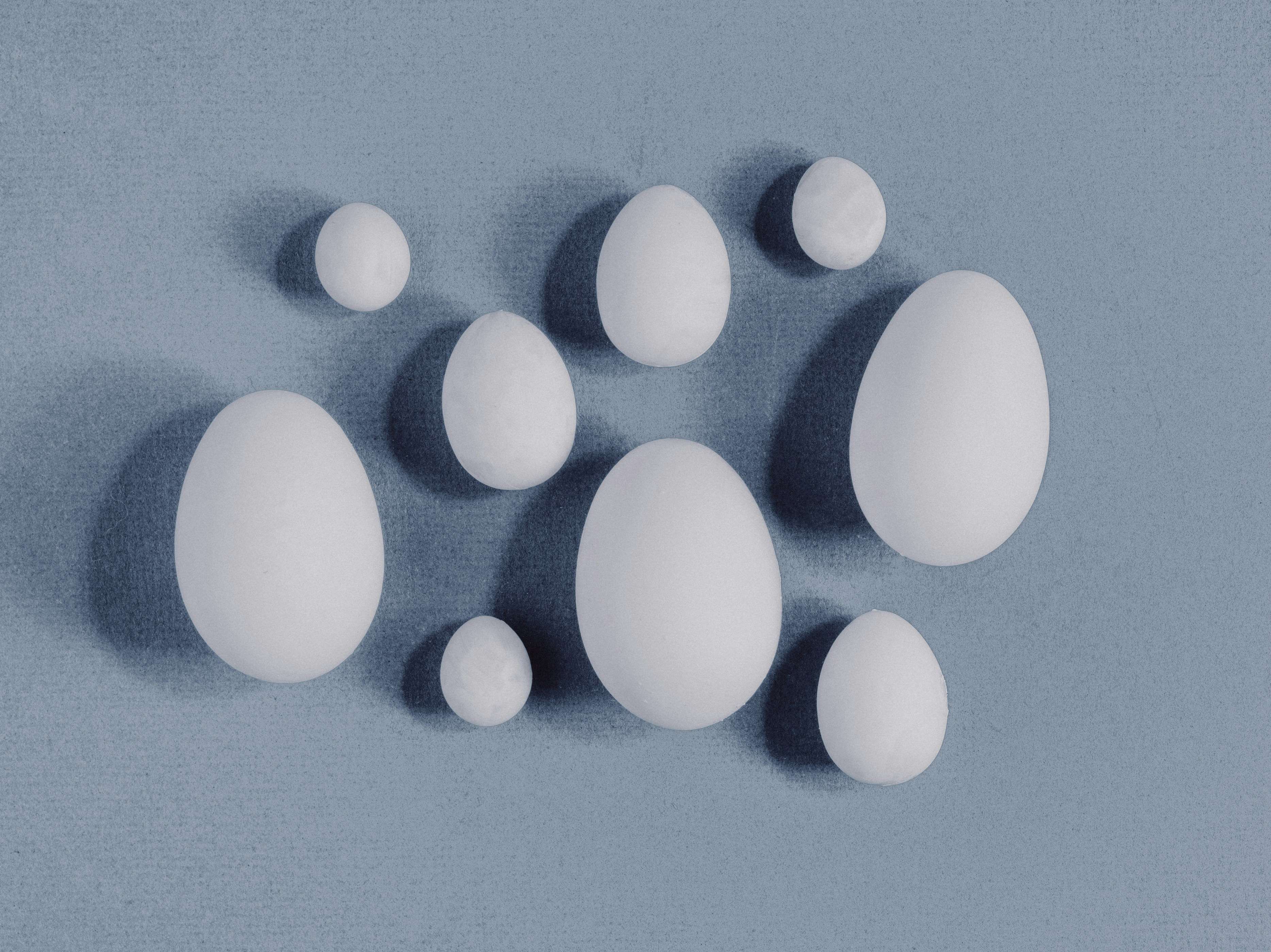 複数の卵が並んでいる