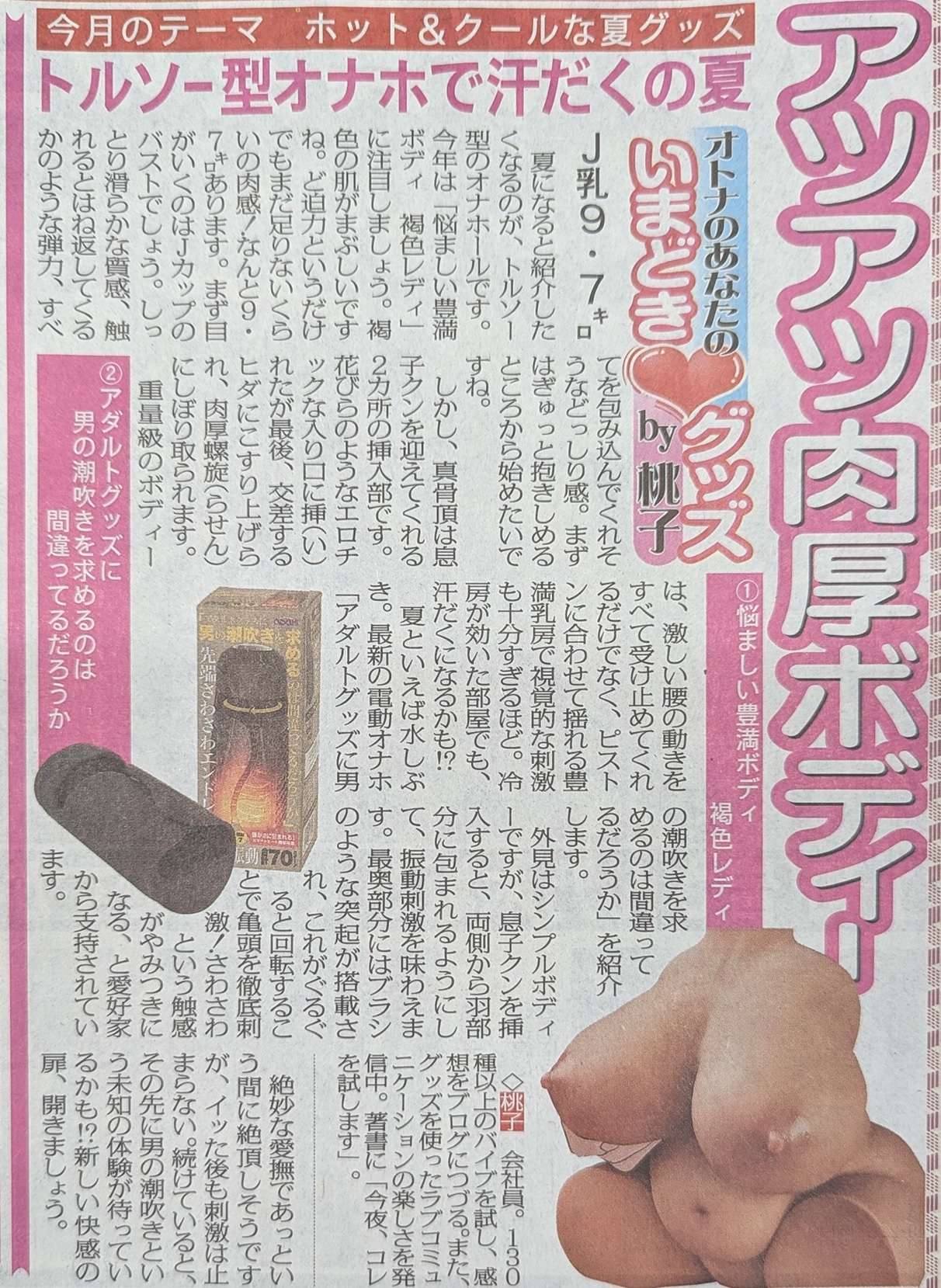 紹介スポニチ画像